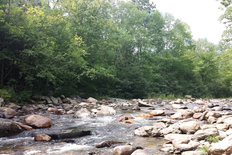 Nature Lodges (Cummington, Massachusetts, United States)