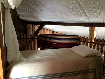 undefined photo 3