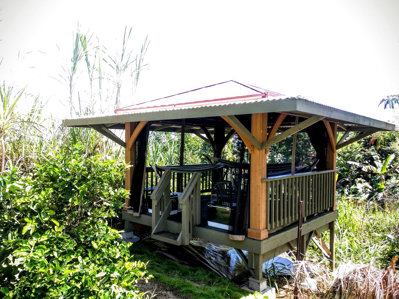 Single Hammock Rental in a Coed Outdoor Dorm near Akaka Falls, Hawaii