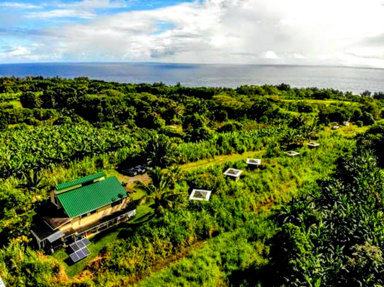 Single Hammock Rental in a Coed Outdoor Dorm near Akaka Falls, Hawaii