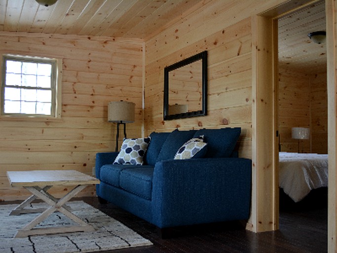 Cabins (Hector, New York, United States)