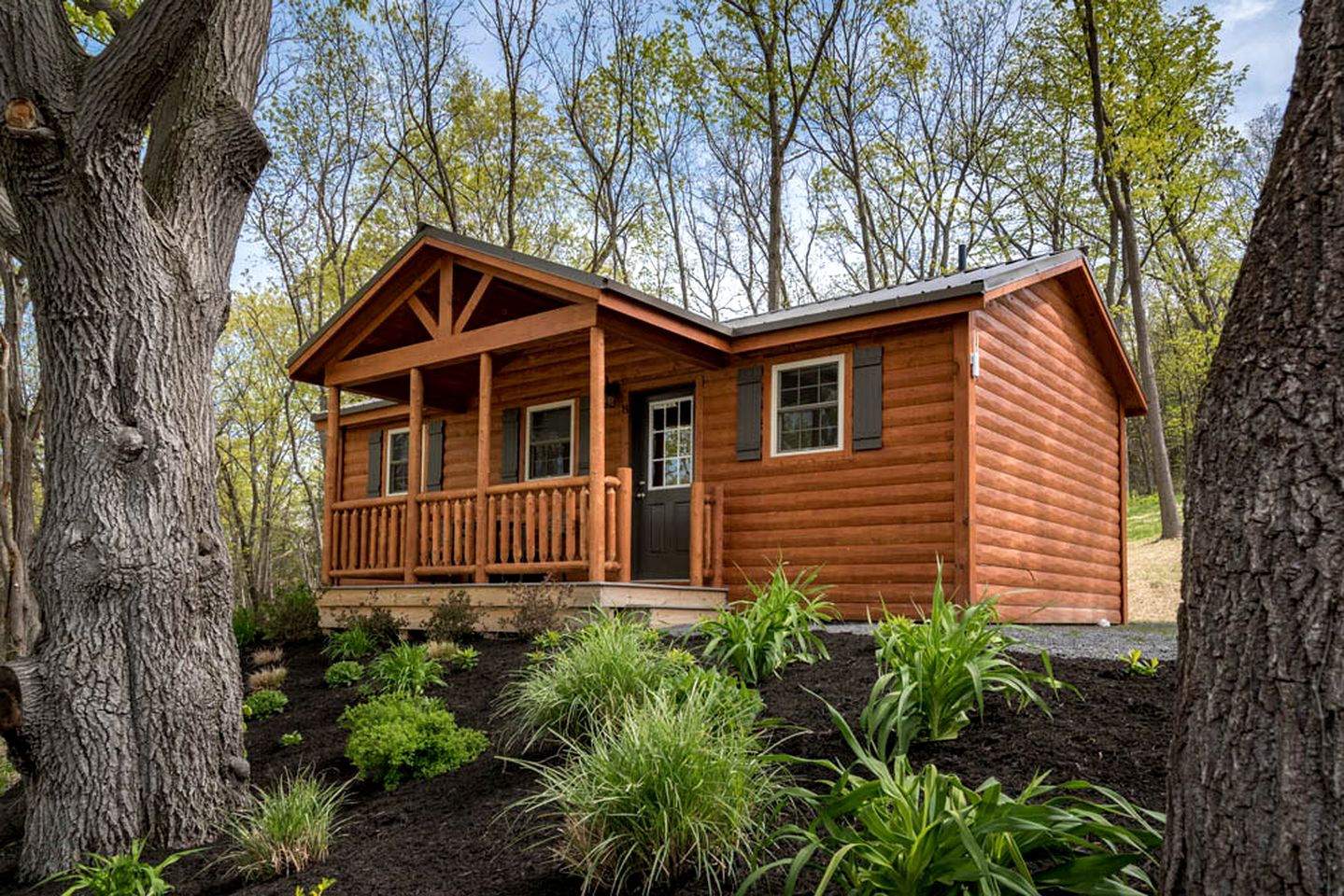 Waterside Cabin Rental With Lake Views in Finger Lakes, New York