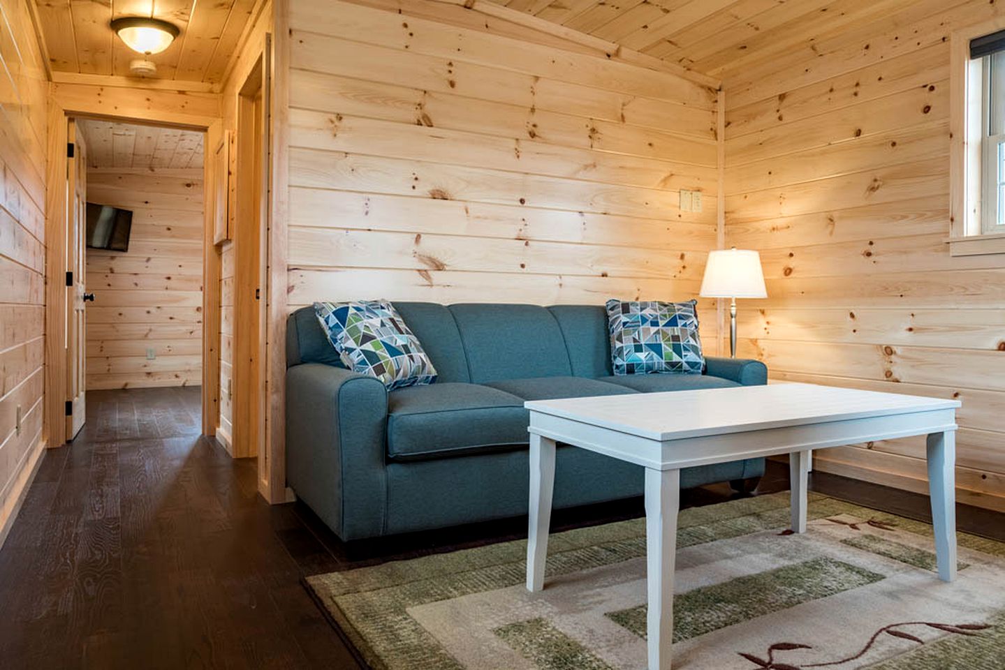 Cozy Cabin Rental with Private Deck Overlooking Seneca Lake in Hector, New York