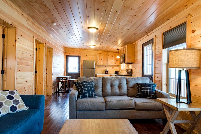 Cabins (Hector, New York, United States)