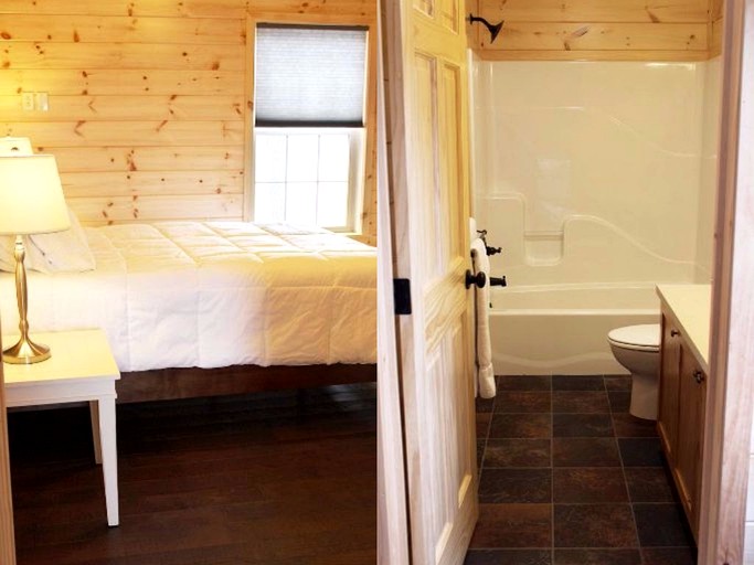 Log Cabins (Hector, New York, United States)