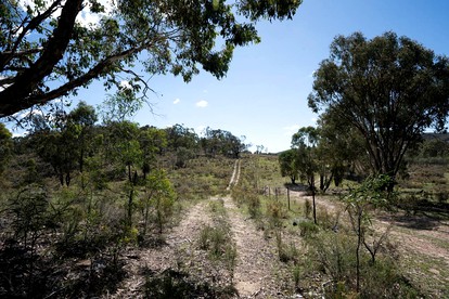 undefined photo 3