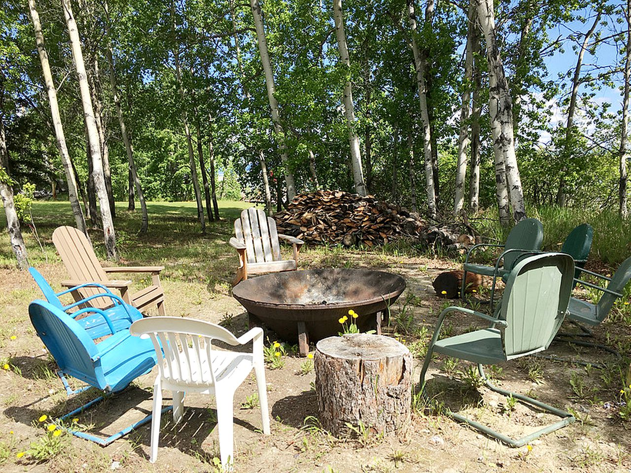 Pet-Friendly Bed and Breakfast Suite on the Tagish River in Tagish, Yukon