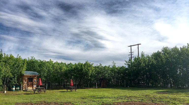 Cabins (Tagish, Yukon, Canada)