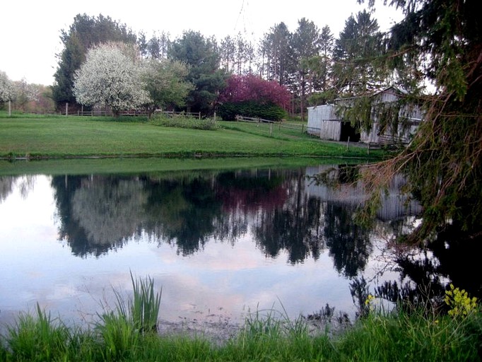 Cranesville Country Rentals, Cabins 20134, Terra Alta, United States of