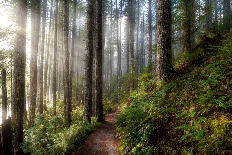Vacation Rentals (United States of America, Anacortes, Washington)