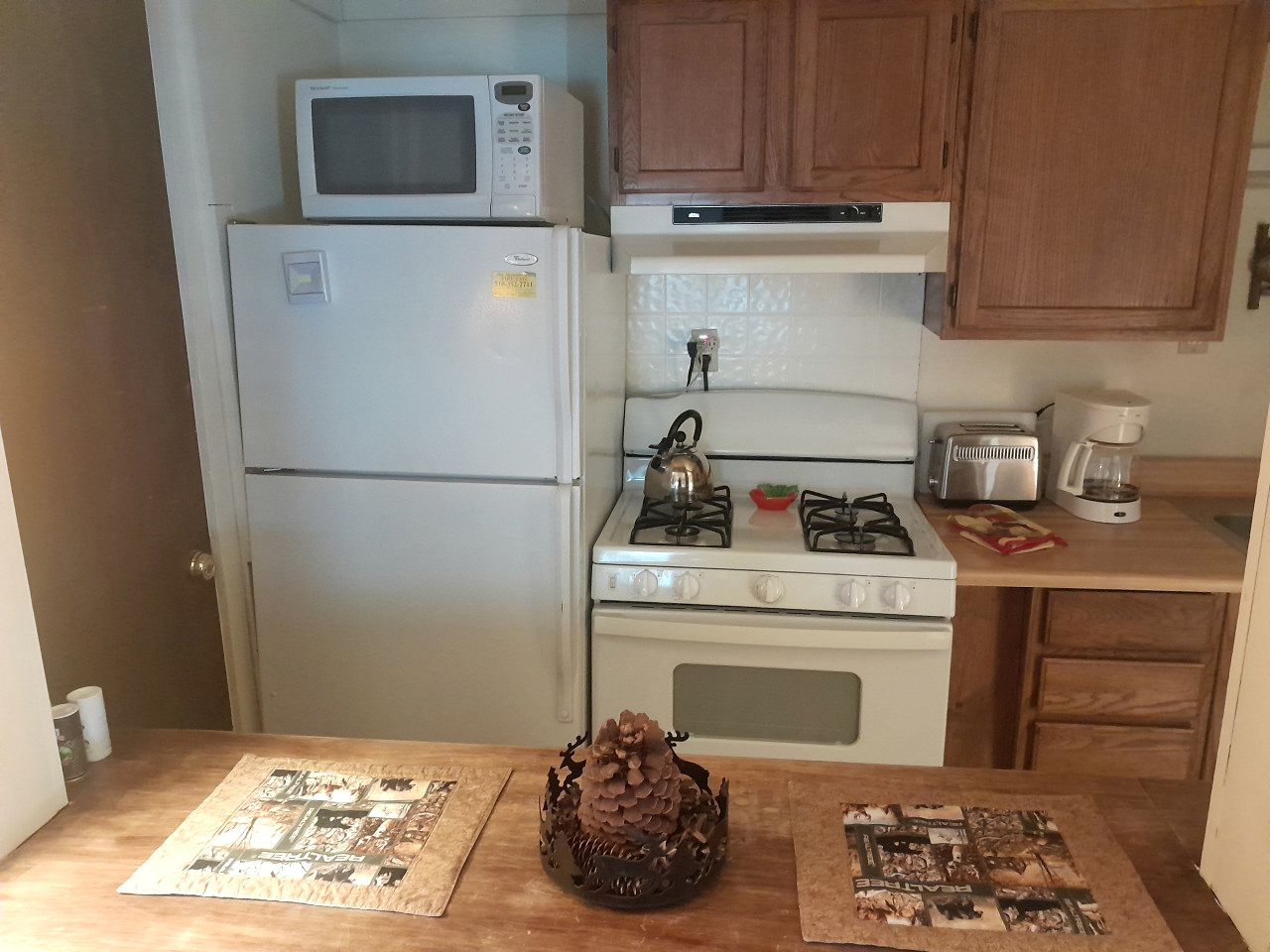 Pet-Friendly Ski Getaway near Gore Mountain Ski Resort in New York