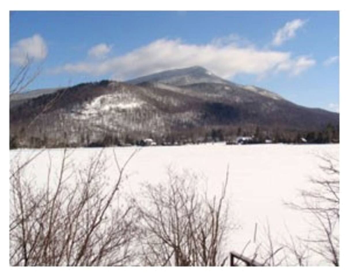 Pet-Friendly Ski Getaway near Gore Mountain Ski Resort in New York