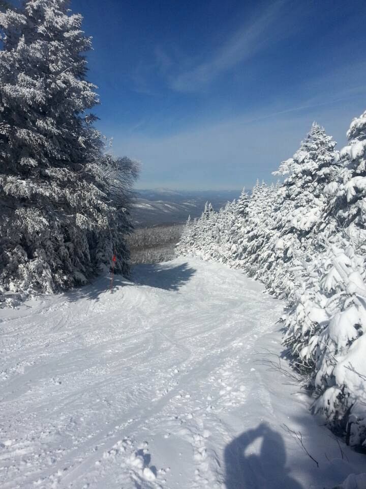 Pet-Friendly Ski Getaway near Gore Mountain Ski Resort in New York