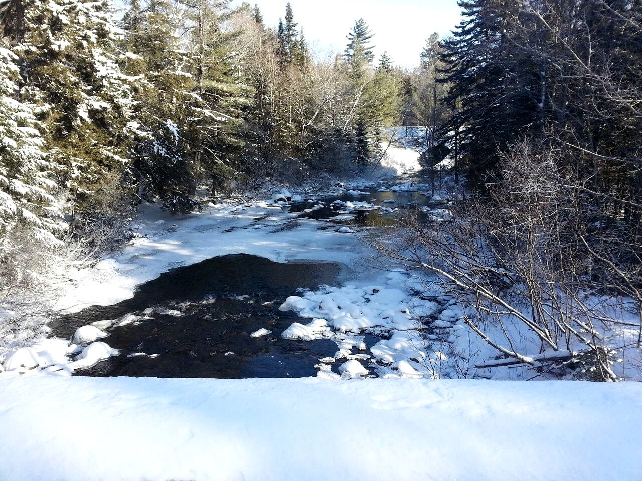 Pet-Friendly Ski Getaway near Gore Mountain Ski Resort in New York