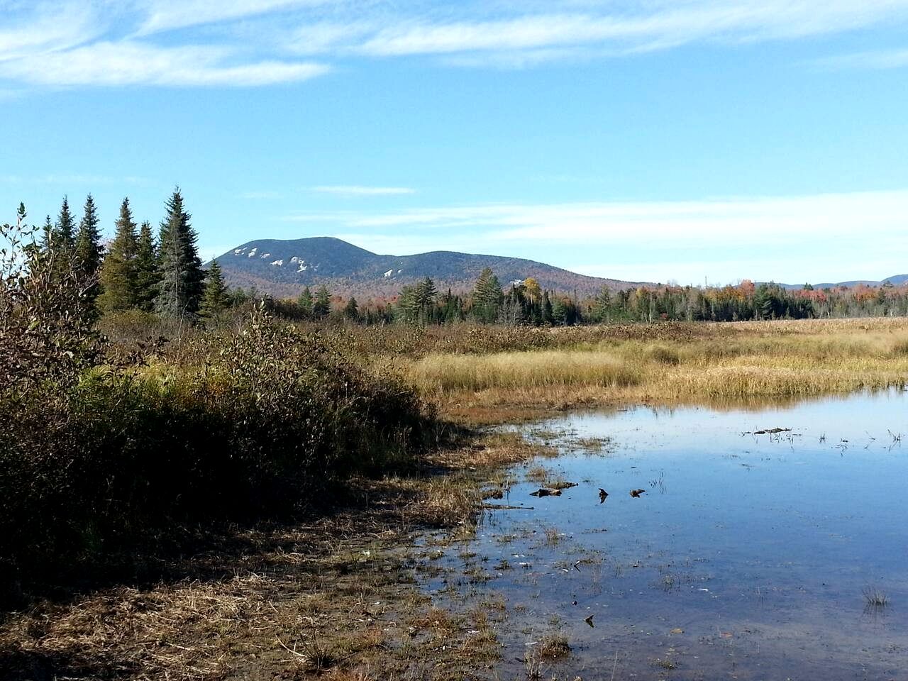 Pet-Friendly Ski Getaway near Gore Mountain Ski Resort in New York