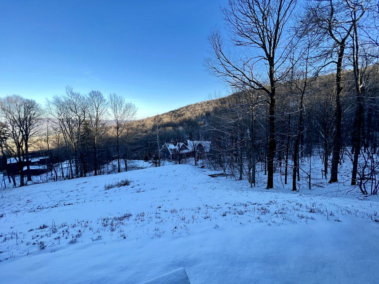 Glorious Cottage Placed in a Secluded Area in Stratton, Vermont