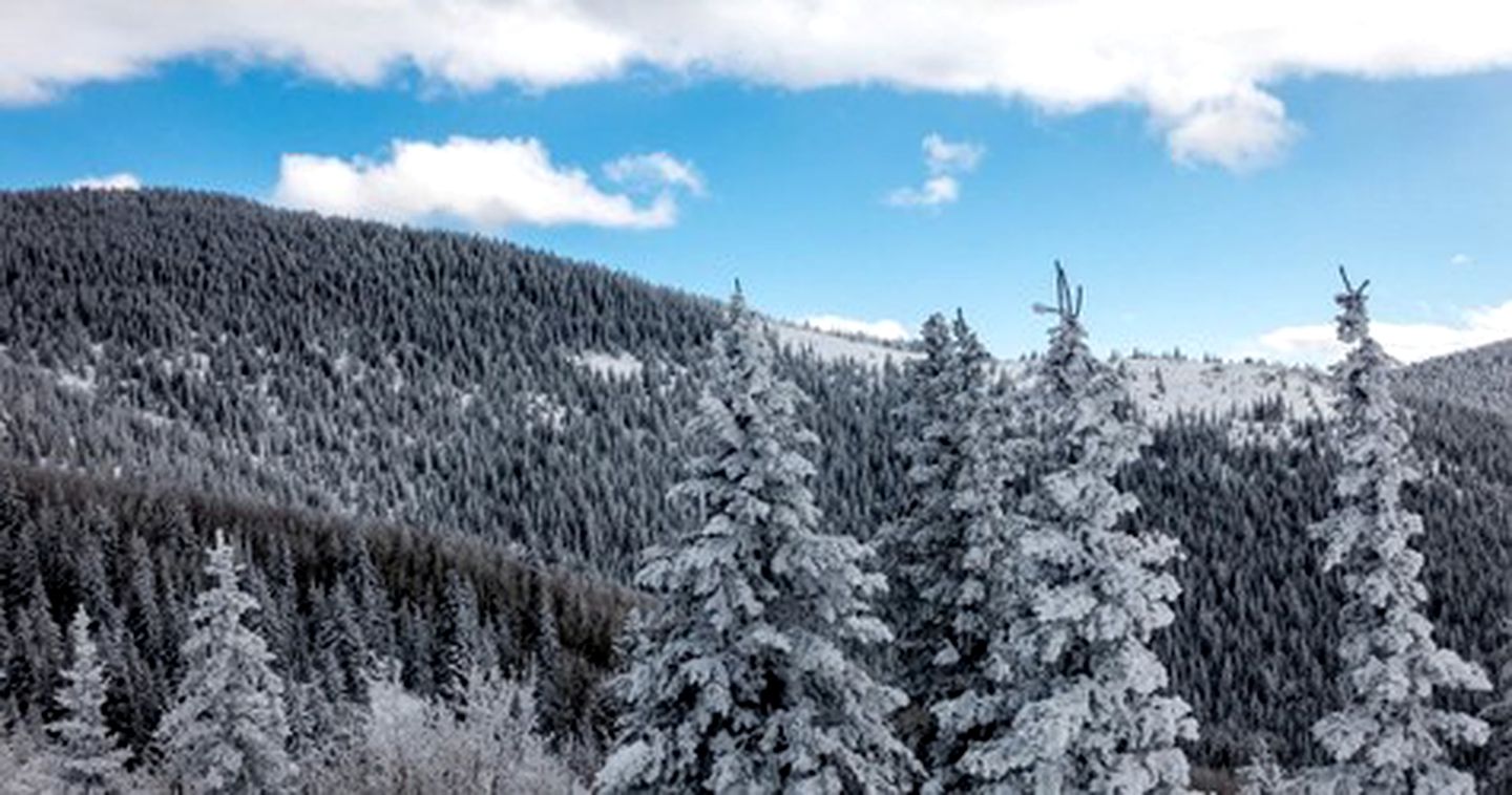 Modern Ski Yurt Rental near the Trujillo Meadows Reservoir in Colorado