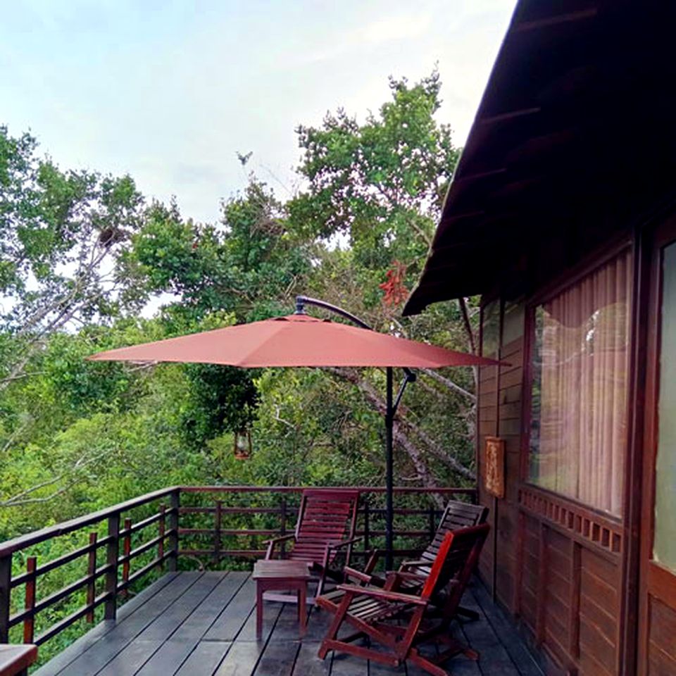 Luxury Treehouse Cabin Retreat Surrounded by Green Forest near Kirinda, Sri Lanka