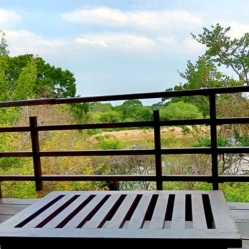 Luxury Treehouse Cabin Retreat Surrounded by Green Forest near Kirinda, Sri Lanka | Cabins (Palatupana, Southern Province, Sri Lanka)