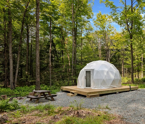 Vacation Rentals (United States of America, --, --)