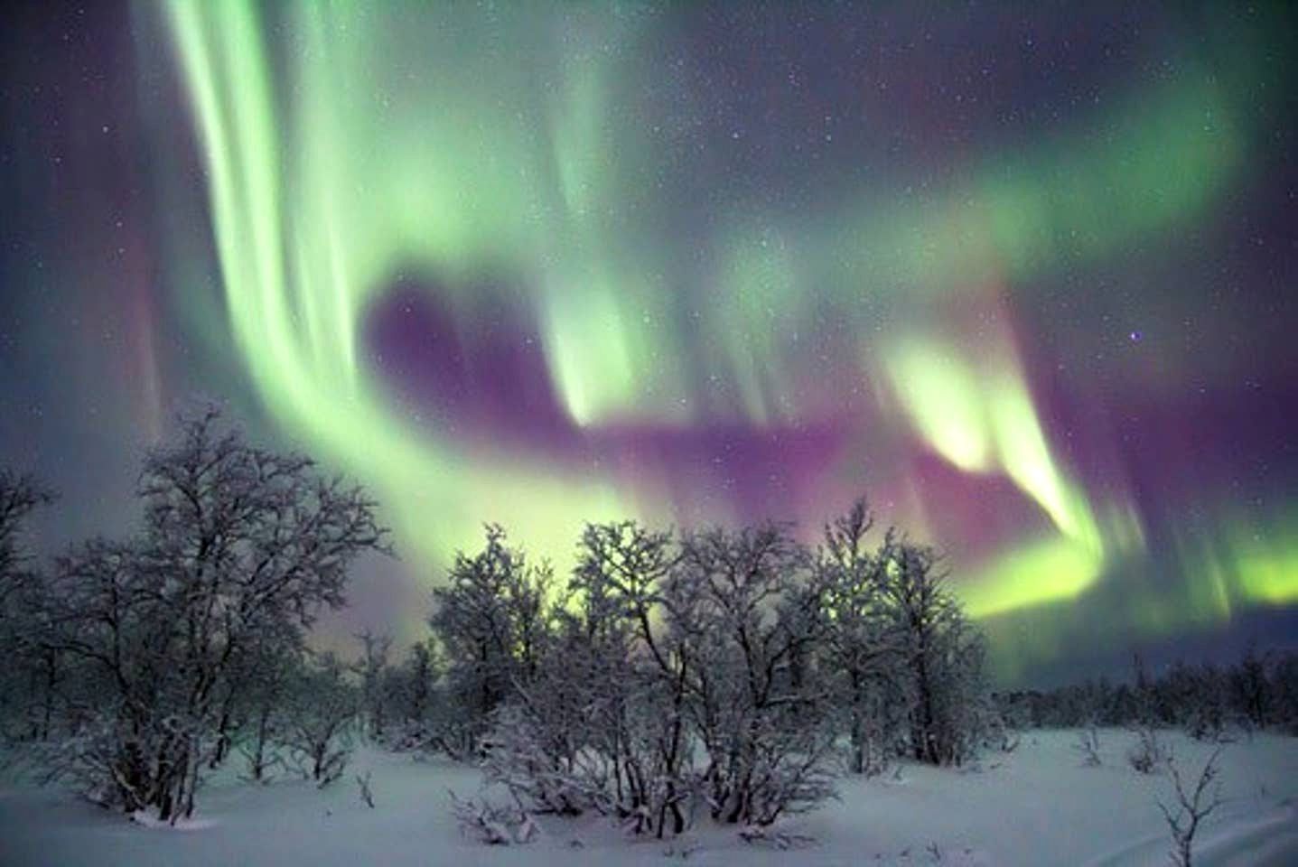 Luxury Camping Experience with Direct Access to Nature in Kiruna, Sweden