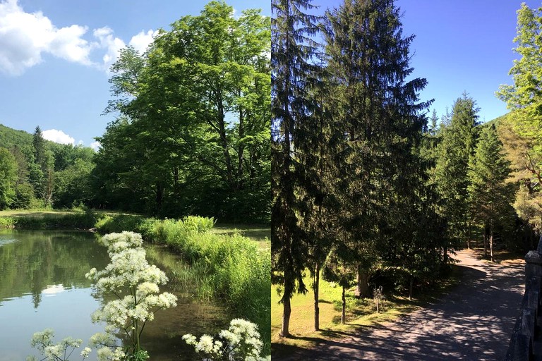 Nature Lodges (Oliverea, New York, United States)