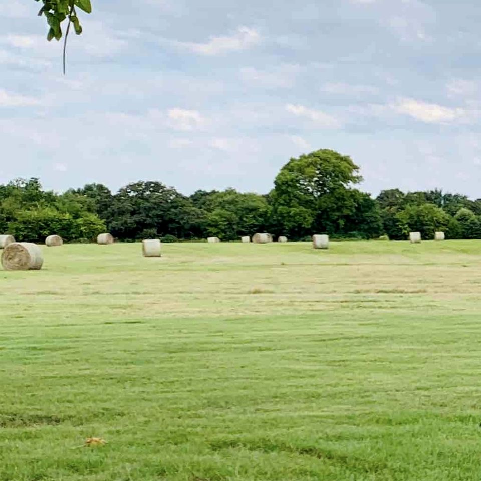Romantic Cabin with Pond Views Great for Couples in Texas