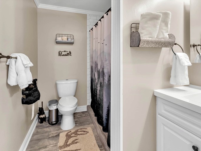 Vacation Rentals (United States of America, Bryson City, North Carolina)