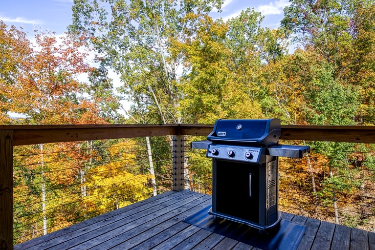 Cabins (United States of America, Dandridge, Tennessee)