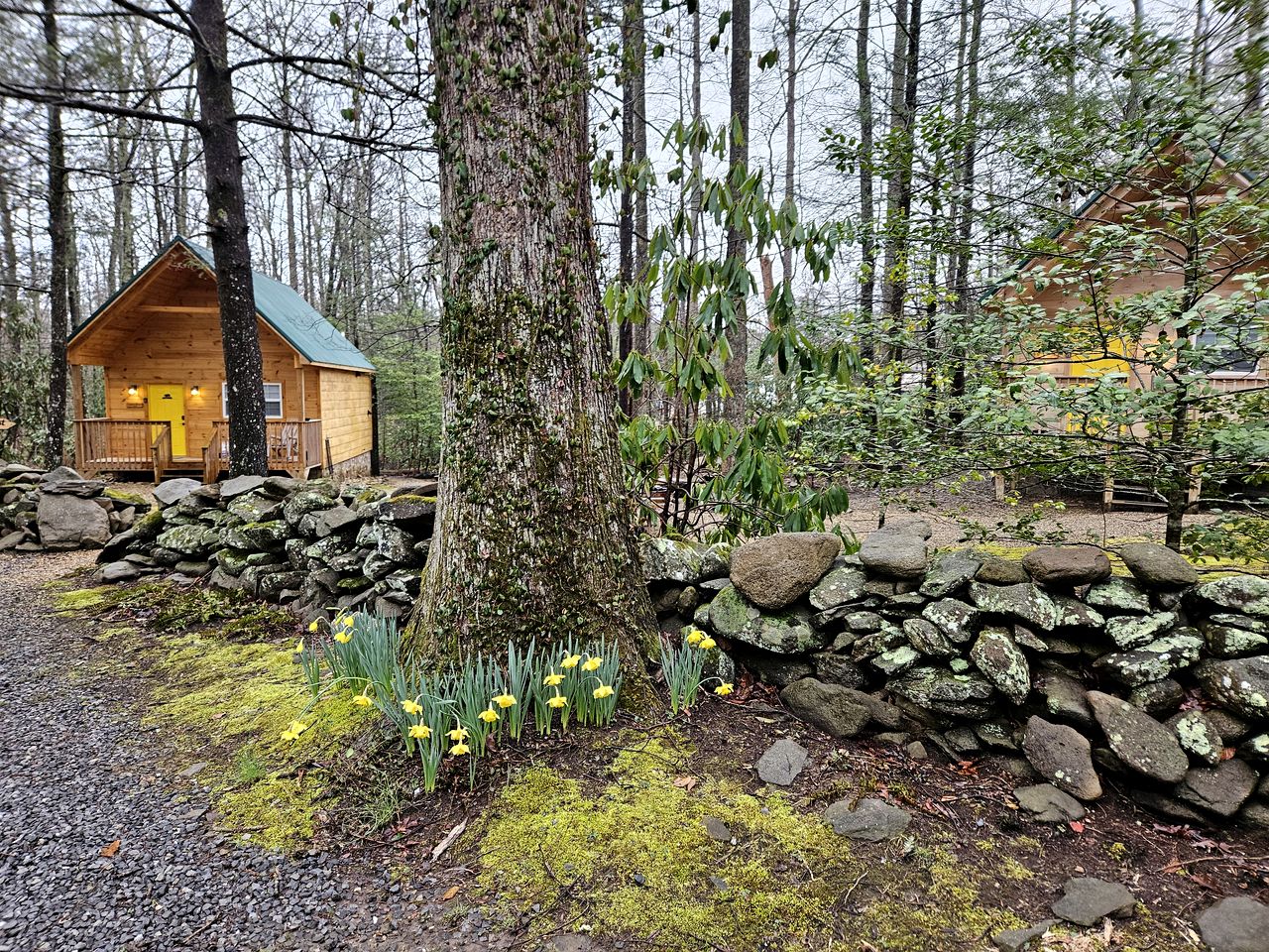 Two Cozy Cabins Nestled in the Trees for a Peaceful Group Getaway near the Great Smoky Mountains National Park in Tennessee