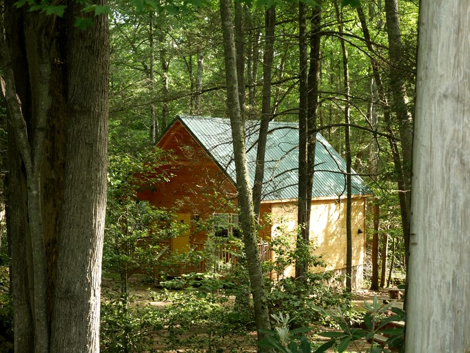 Cabins (United States of America, Cosby, Tennessee)