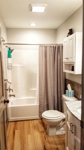 Cabins (United States of America, Cosby, Tennessee)