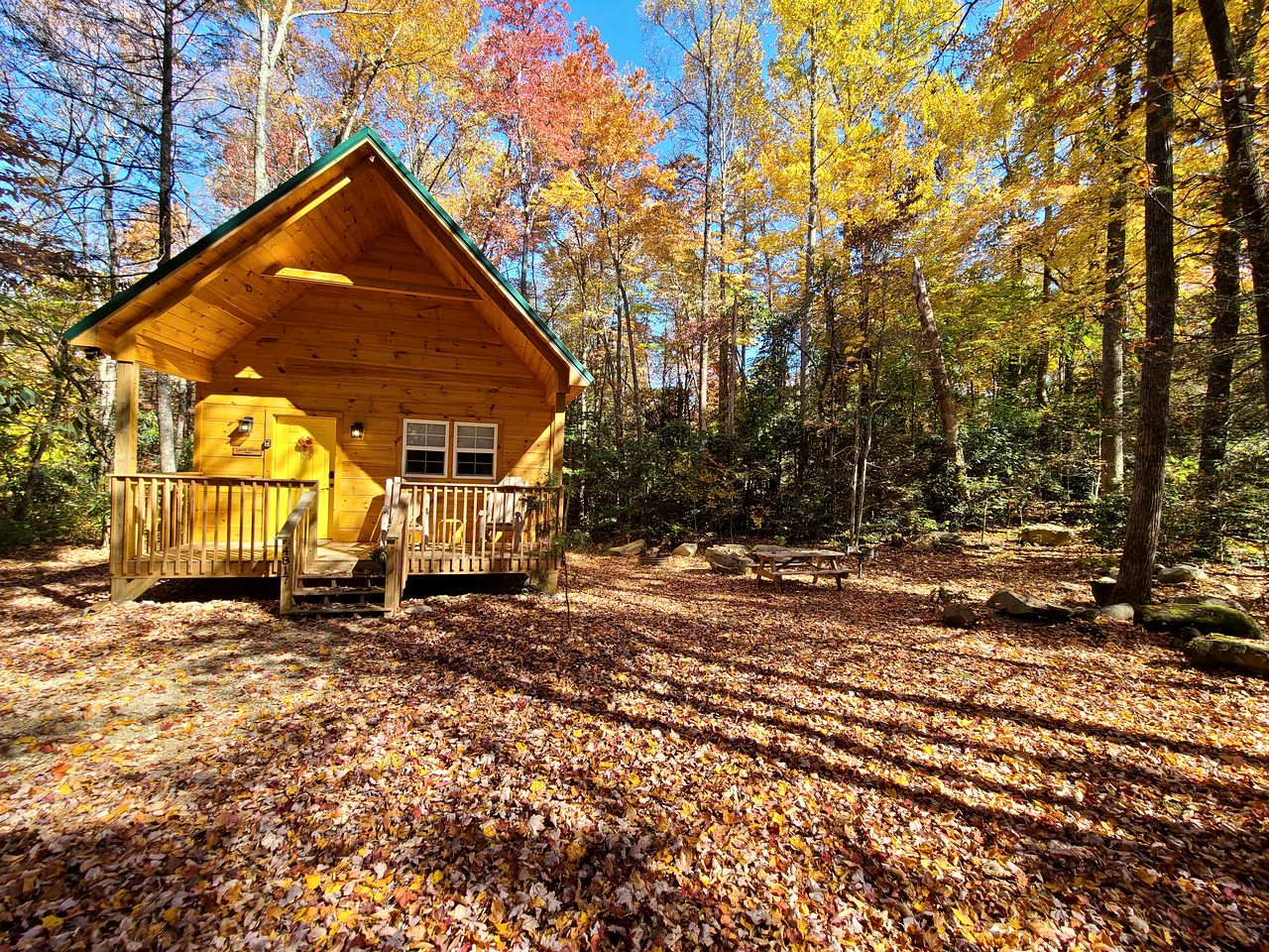 Two Cozy Cabins Nestled in the Trees for a Peaceful Group Getaway near the Great Smoky Mountains National Park in Tennessee