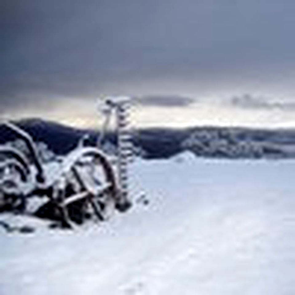 Luxury Nature Lodge Room Close to Ski Slopes in the Snowy Mountains of Australia