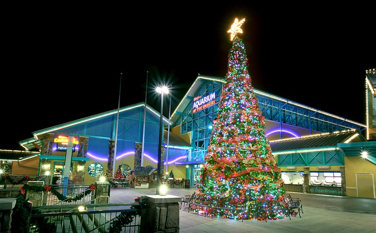 -- (United States, Gatlinburg, Tennessee)