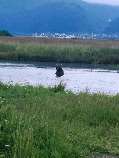 Cabins (United States of America, Seward, Alaska)