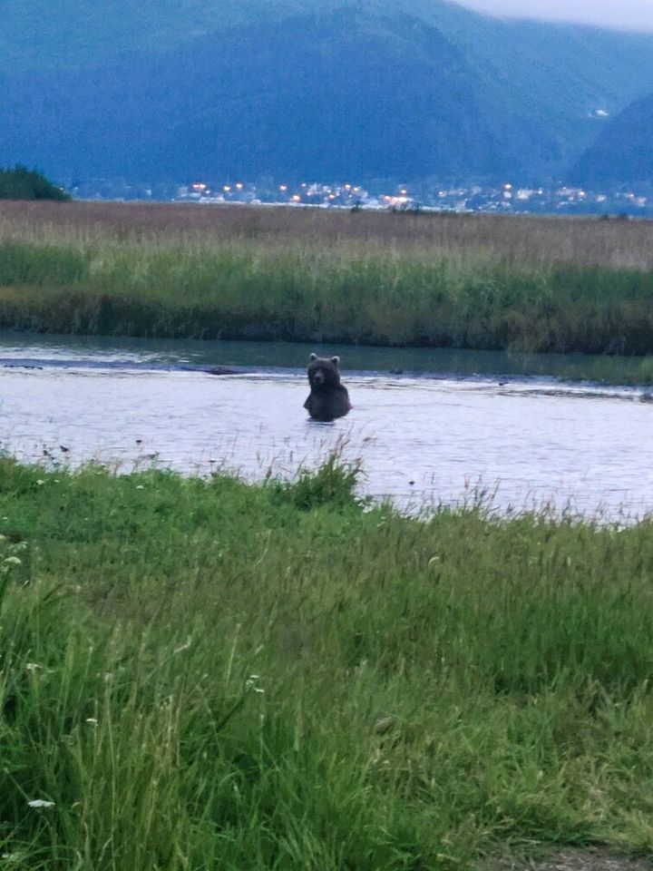 Peaceful Nature Cabin with Private Deck & Wildlife Views in Seward, Alaska
