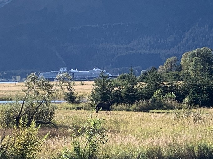Cabins (United States of America, Seward, Alaska)