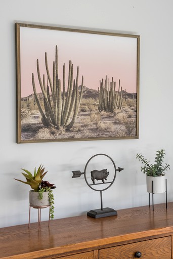 Vacation Rentals (United States of America, Joshua Tree, California)