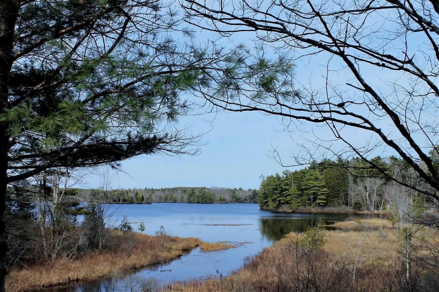 Charming Waterfront Cottage with Scenic Views, Kayak Access, Near Bar Harbor, Mount Desert Island, Maine