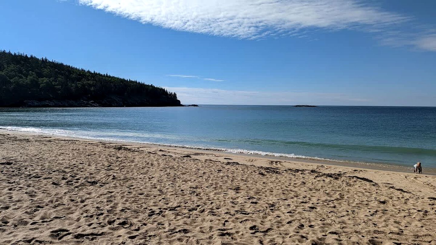 Charming Waterfront Cottage with Scenic Views, Kayak Access, Near Bar Harbor, Mount Desert Island, Maine