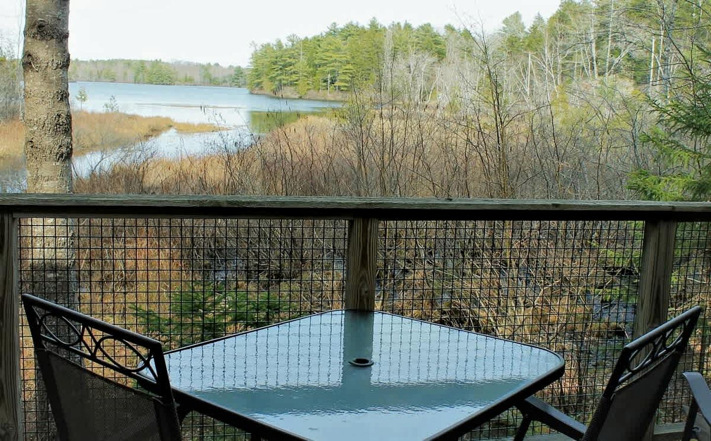 Charming Waterfront Cottage with Scenic Views, Kayak Access, Near Bar Harbor, Mount Desert Island, Maine