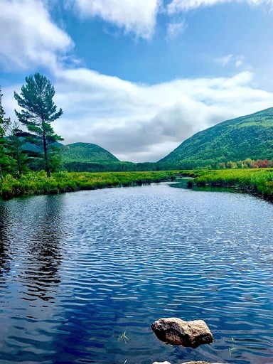 Vacation Rentals (United States of America, Mount Desert, Maine)