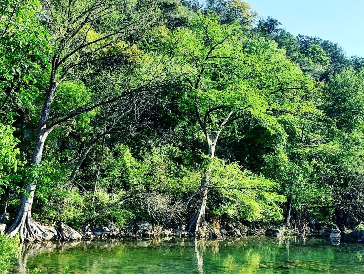 Son's Guadalupe Glamping Bell Tent  and Cabana near New Braunfels, Texas