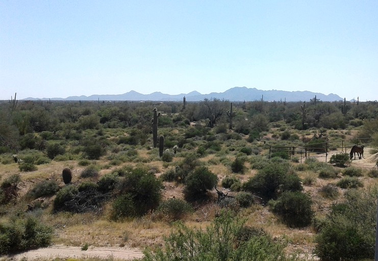 Cabins (Rio Verde, Arizona, United States)