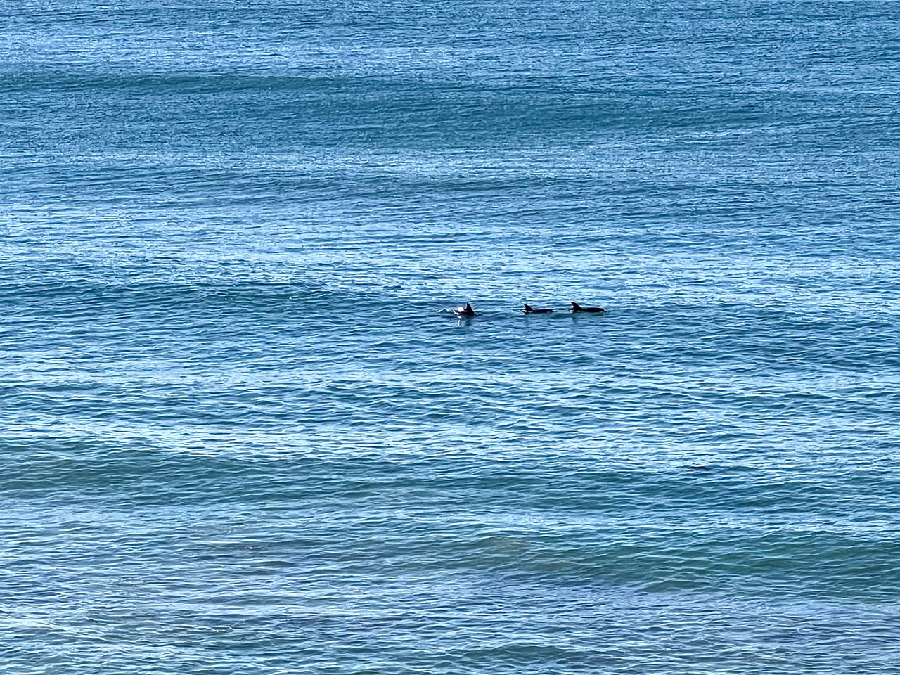 Soulshine Beachside Penthouse, views over Denhams Beach