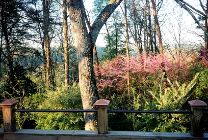 undefined photo 2