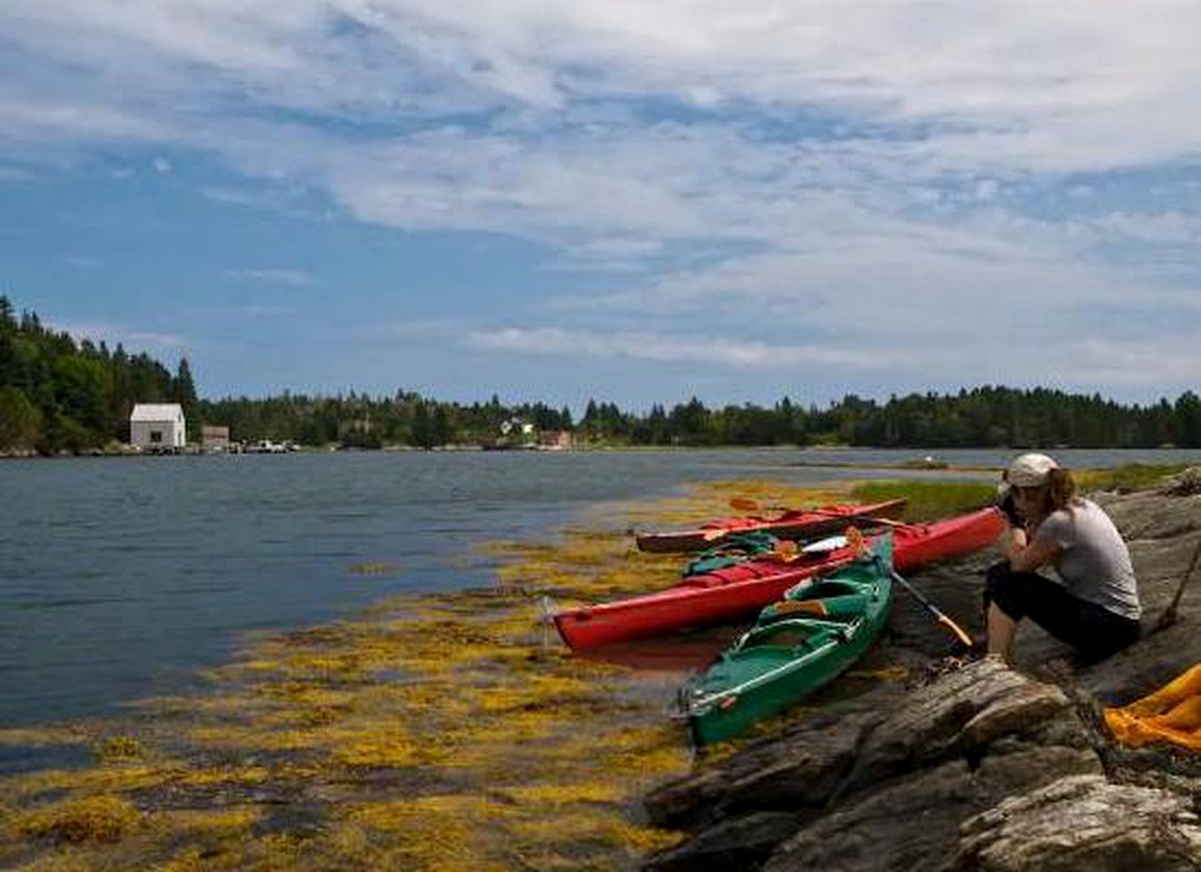 Riverside Cottage Tucked in the Woods of Bridgewater, Nova Scotia