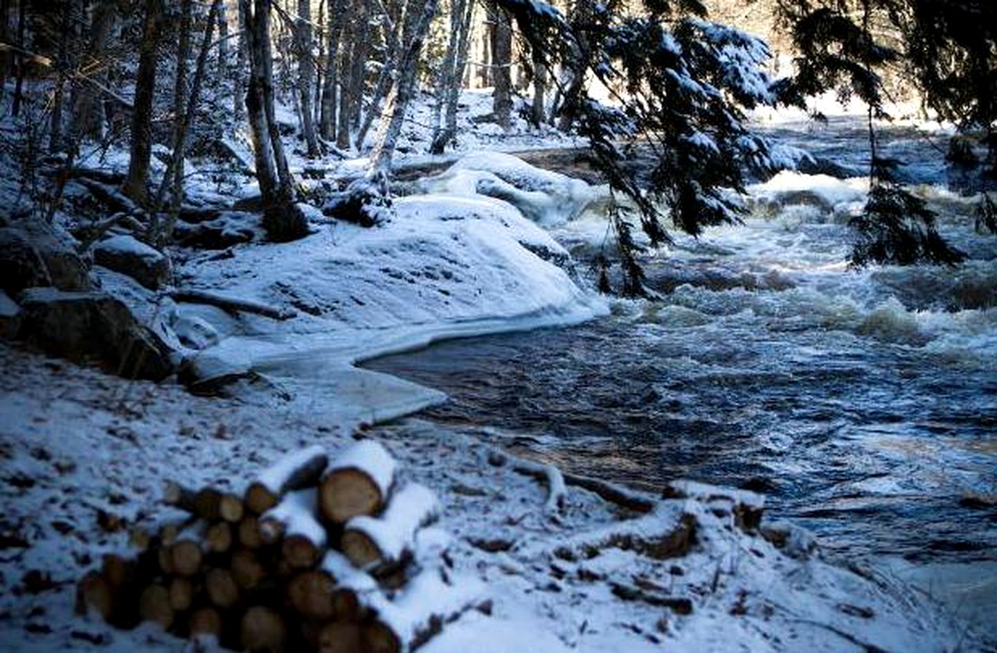Riverside Cottage Tucked in the Woods of Bridgewater, Nova Scotia
