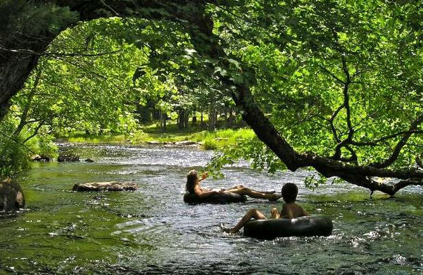 Riverside Cottage Tucked in the Woods of Bridgewater, Nova Scotia